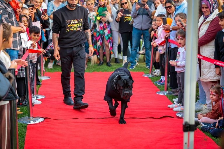 Patilerin Festivali bu yıl da fark yarattı