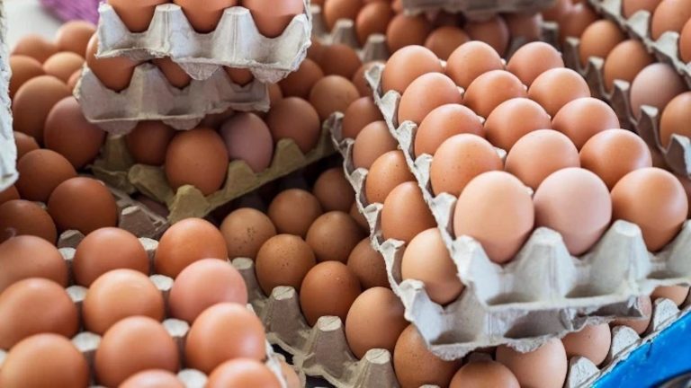 Yumurtalar 28 gün içinde tüketiciye ulaşacak