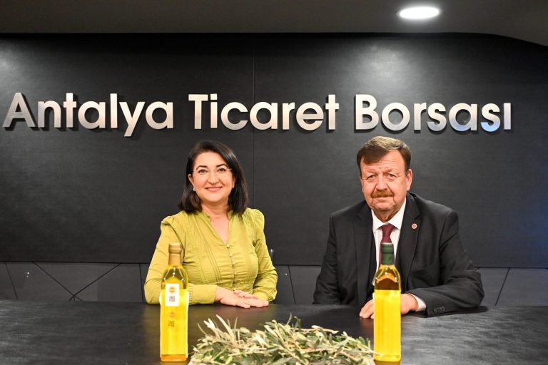 Ölmez ağacı zeytin ilgi bekliyor