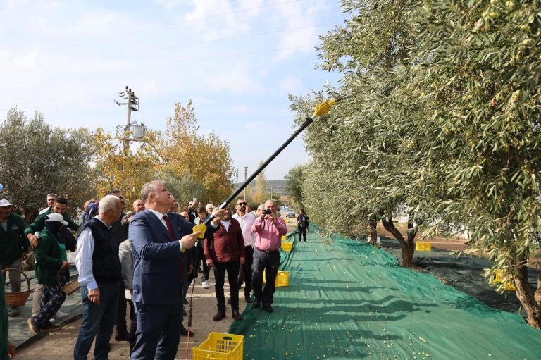 Urla’da üç gün boyunca zeytin ve sanat konuşuldu