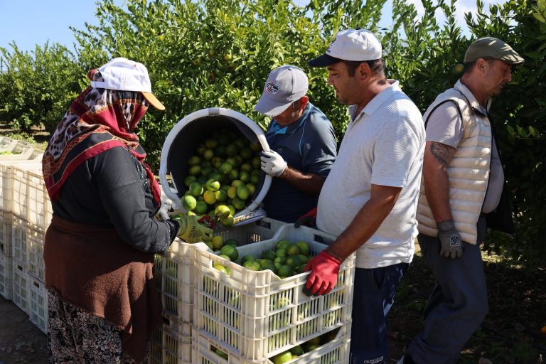Üretici satamıyor, tüketici alamıyor