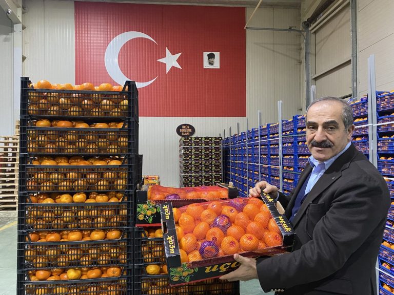 Mandalina ihracatı 615 milyon dolarla rekor kırdı