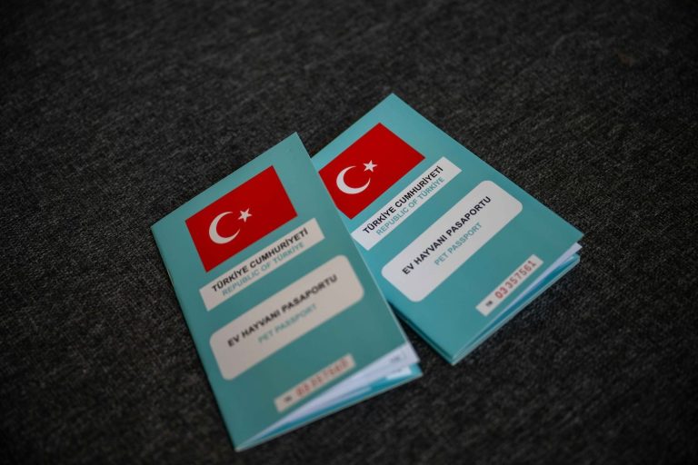 Bornova’da 55 can dostu yeni yuvasına kavuştu
