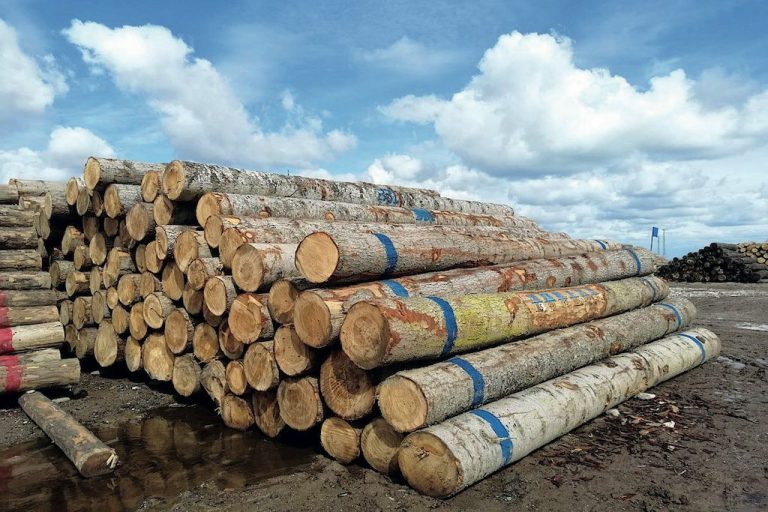 Burdur Orman İşletme Müdürlüğü istif işi hizmeti alacak