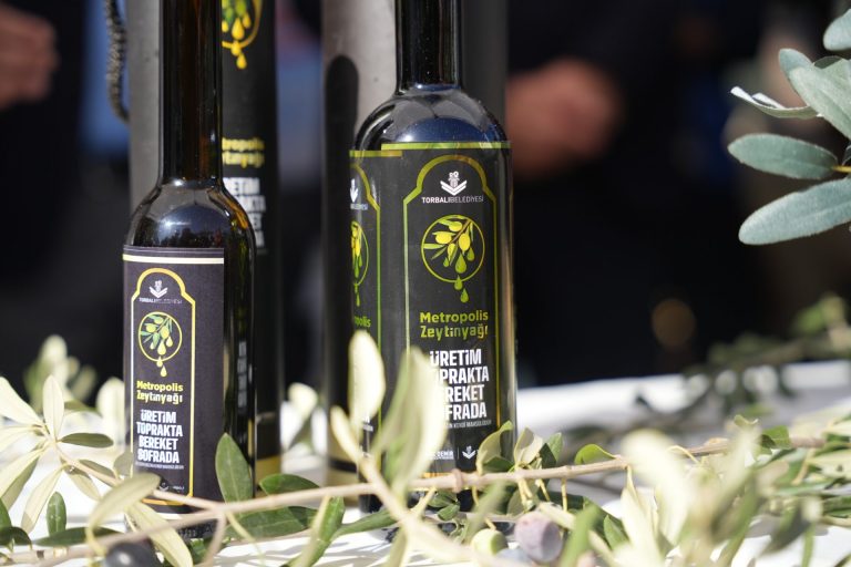Torbalı’da zeytin hasadı markaya dönüştü: Metropolis