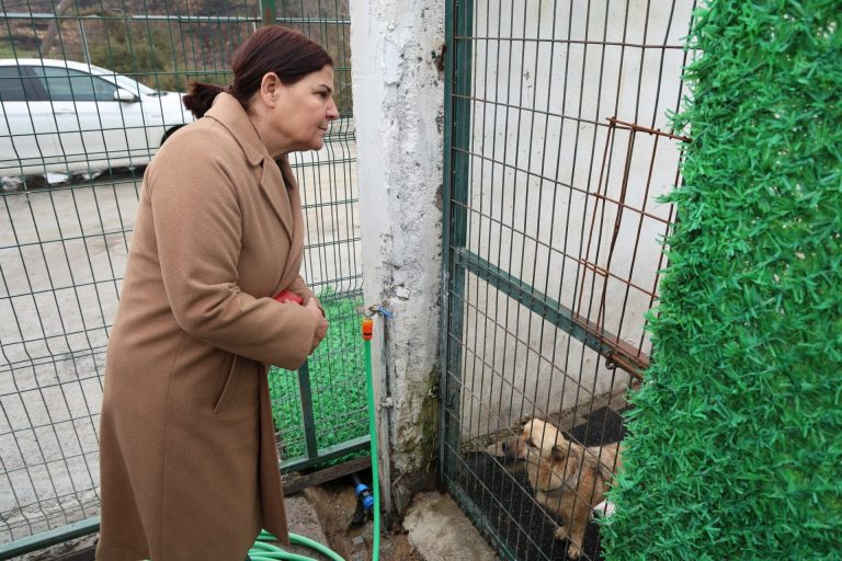 Foça Belediyesi, can dostların bakım süreçlerine destek olacak
