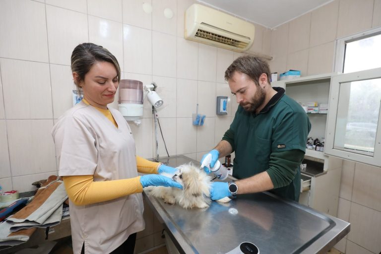 Gaziemir Belediyesi’nden 6 bin 222 can dostuna uzanan sevgi eli