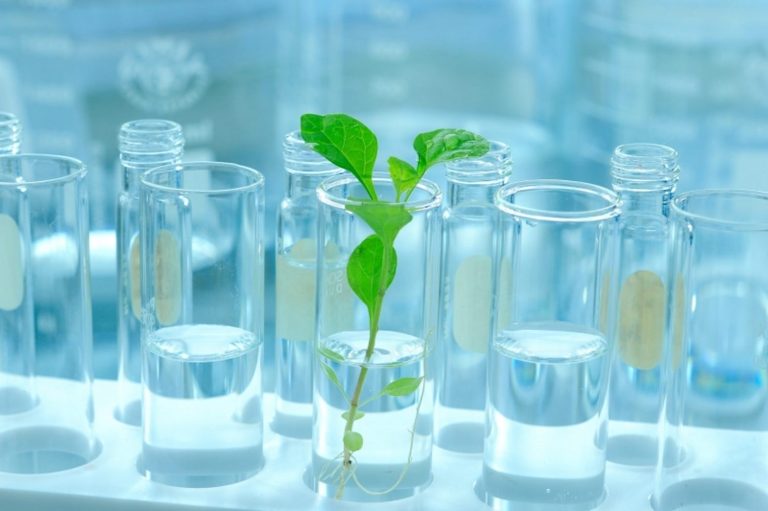 Saruhan Kimya’dan Ar-Ge’de ‘yeşil dönüşüm’ hamlesi