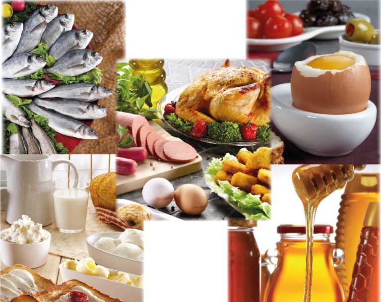 Su ürünleri ve hayvansal mamuller ihracatının %45’i Ege’den