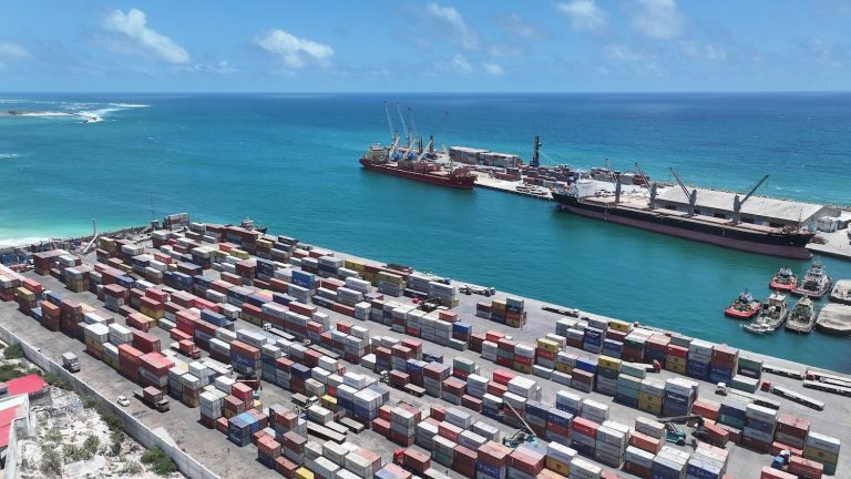 Dünyanın en stratejik limanlarında Türk izi