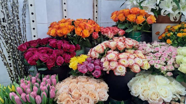 Ekonomi çiçeği ‘soldurdu’