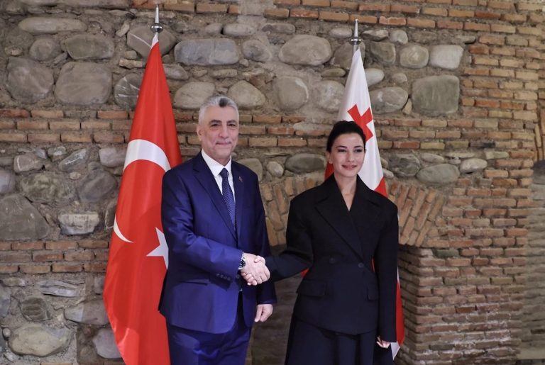 Bakan Bolat, Gürcistan ziyaretinde Bakan Kvrivishvili ile görüştü