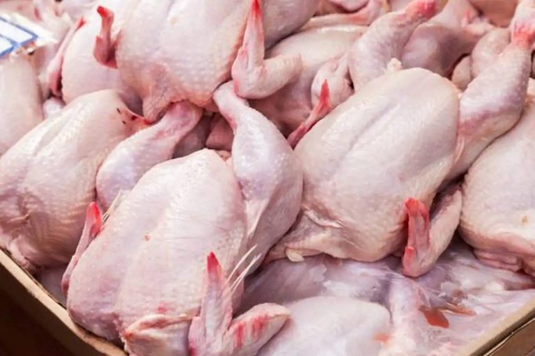 Tavuk ihracatı kısıtına üreticiden sert tepki geldi