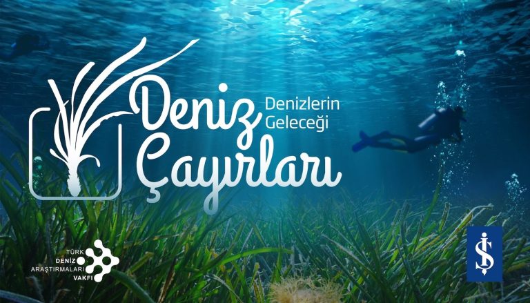 Denizlerin akciğerleri çökme tehlikesiyle karşı karşıya
