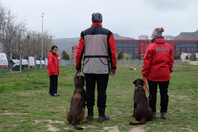 AKUT ve Royal Canin’den anlamlı iş birliği