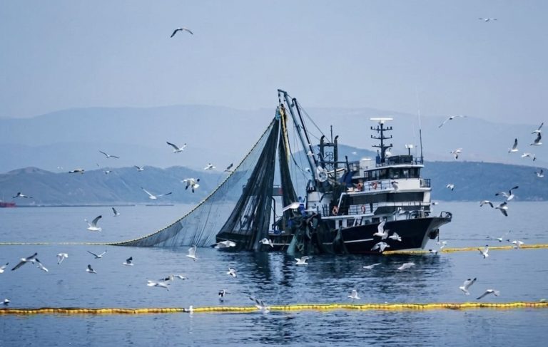 Denizlerde av yasağı 15 Nisan’da başlıyor