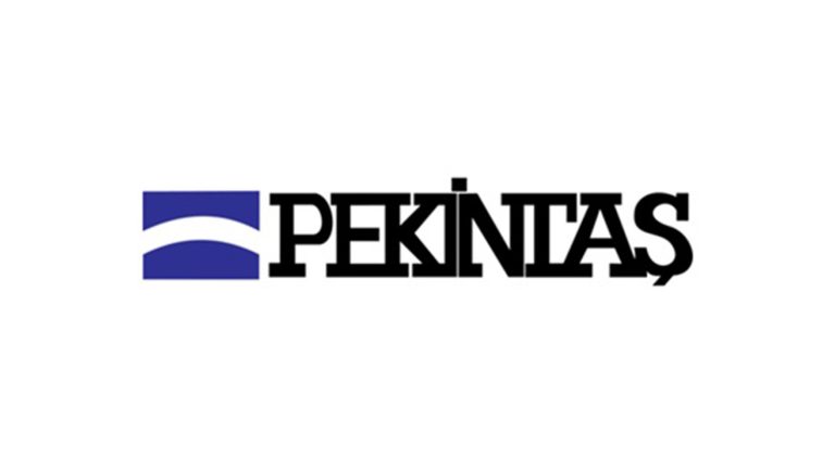 Pekintaş Holding’ten Manisa Seydiköy’de depolamalı GES yatırımı