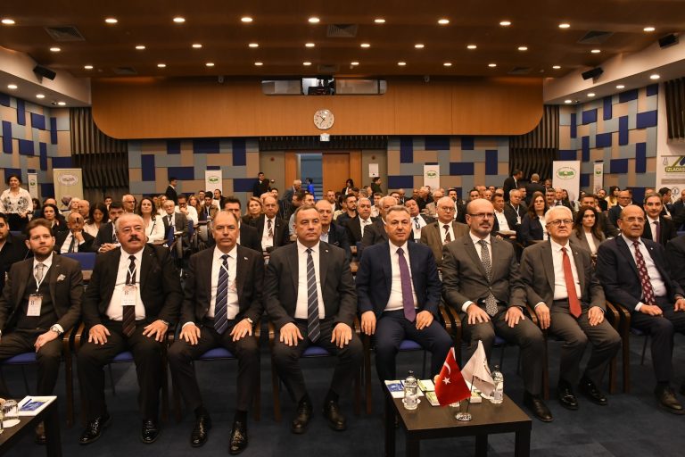 Pamukta kritik eşik; rekabetçilik