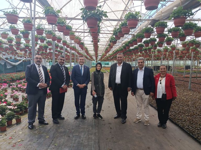 ​Anneler Günü öncesi çiçek seralarında yoğun mesai