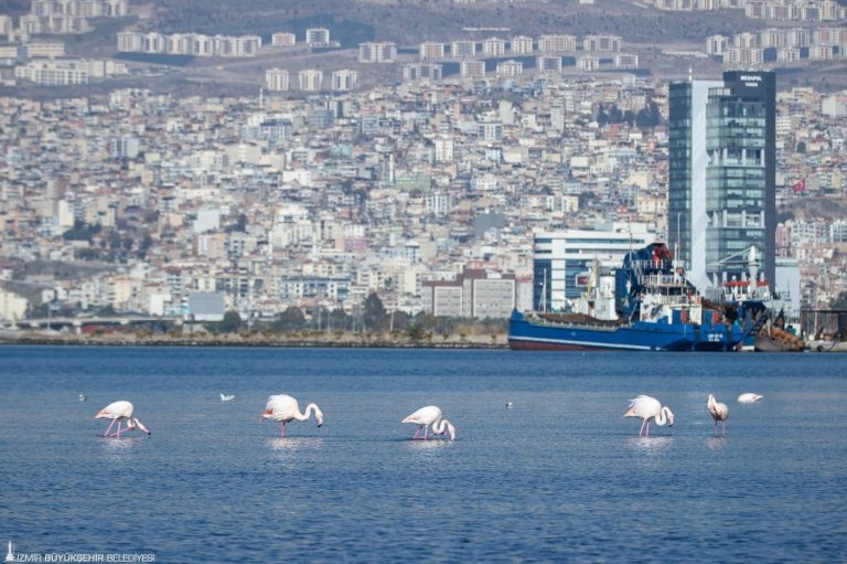 ‘İzmir Yenileniyor’ markası tescillendi