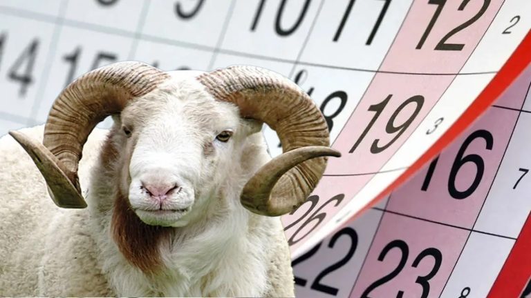 ​Kurban Bayramı tatili 9 gün olacak