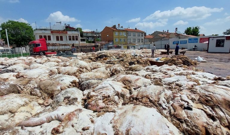 Kurban derilerinin ekonomik değeri yok oluyor