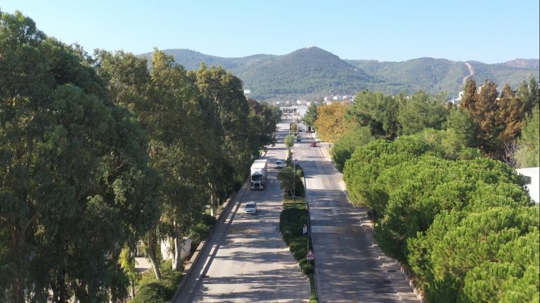 ESBAŞ, çevreci yatırımlarla 2025 yılında 8 bin ağaç kurtardı 