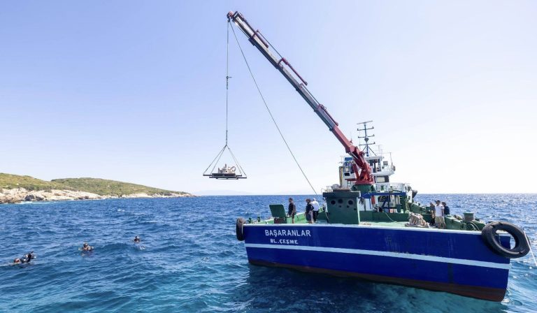 Midye kabukları deniz yaşamına nefes olacak