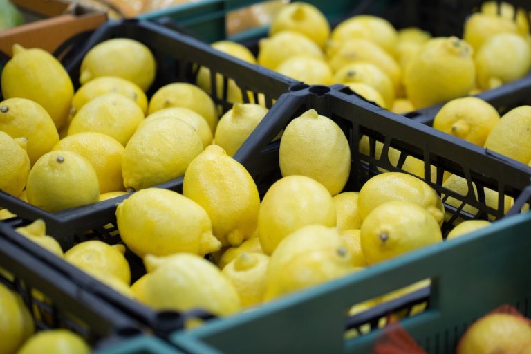 Türkiye’nin limon ihracatı 500 milyon dolara koşuyor