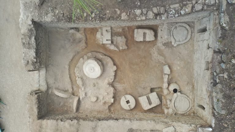 Antik zeytinyağı üretim kültürü yeniden görünür hale geldi
