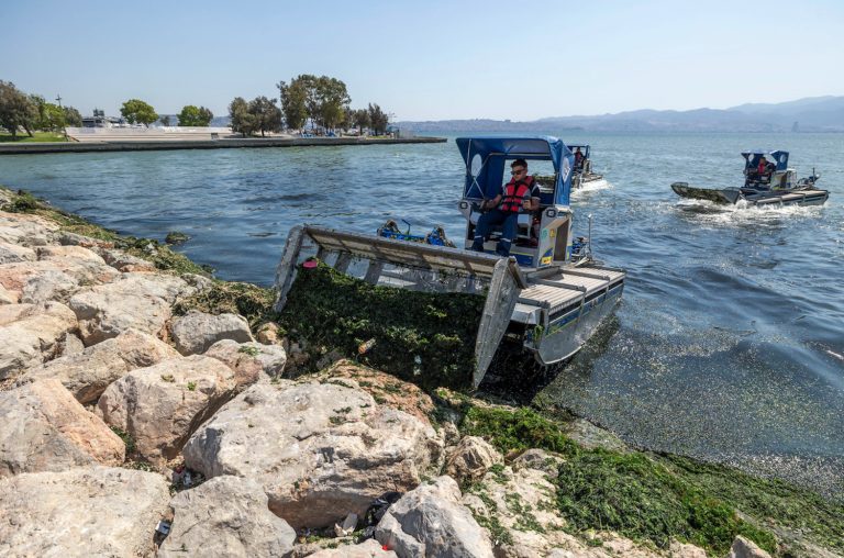 İzmir’in dere yatakları temizleniyor