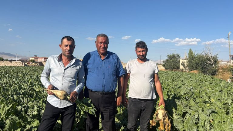 Pancar üreticisinin fiyat beklentisi en az 4 bin TL 