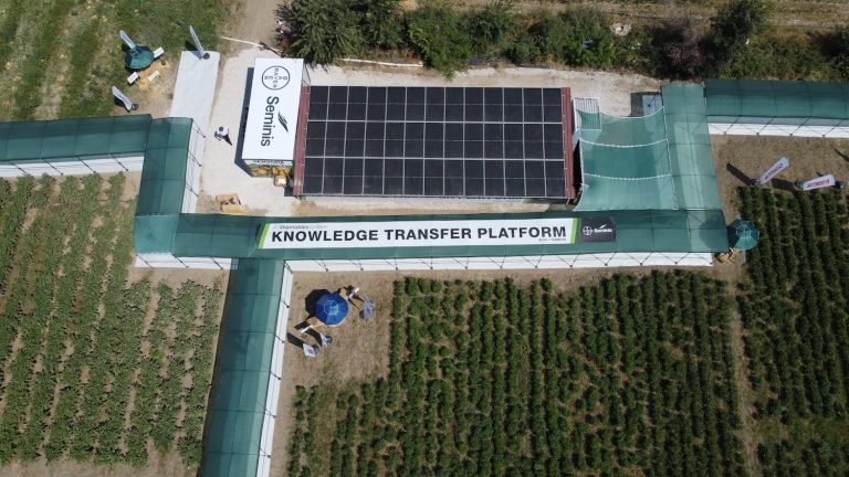 Sebze tohumları buluşması İzmir’de