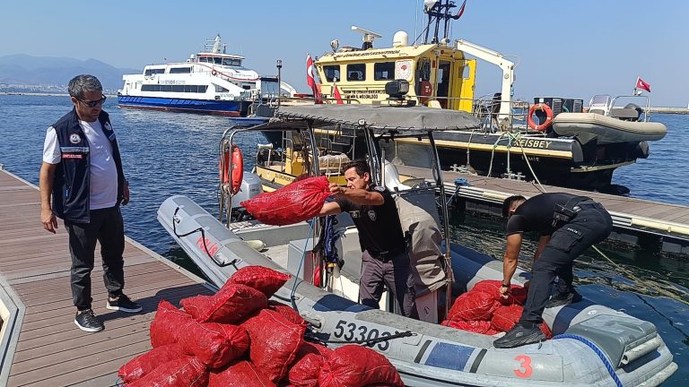 Yasa dışı kara midye avcılığına geçit yok