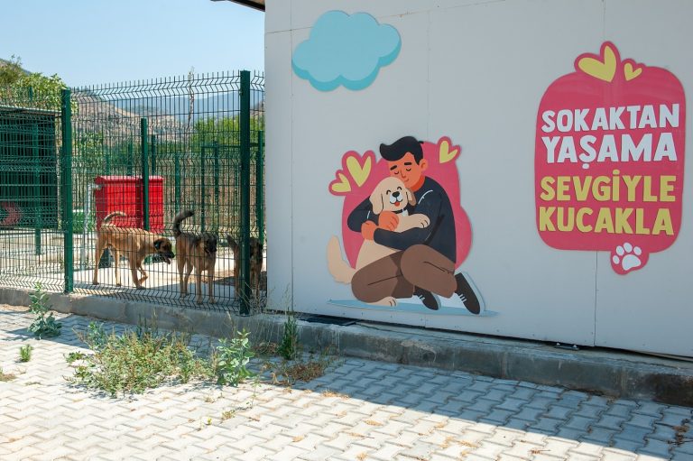 Karşıyaka’nın patileri, yeni yuvalarına kavuşmayı bekliyor