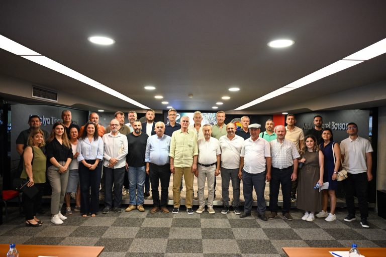 Zeytinin rekolte beklentisinde %40 artış