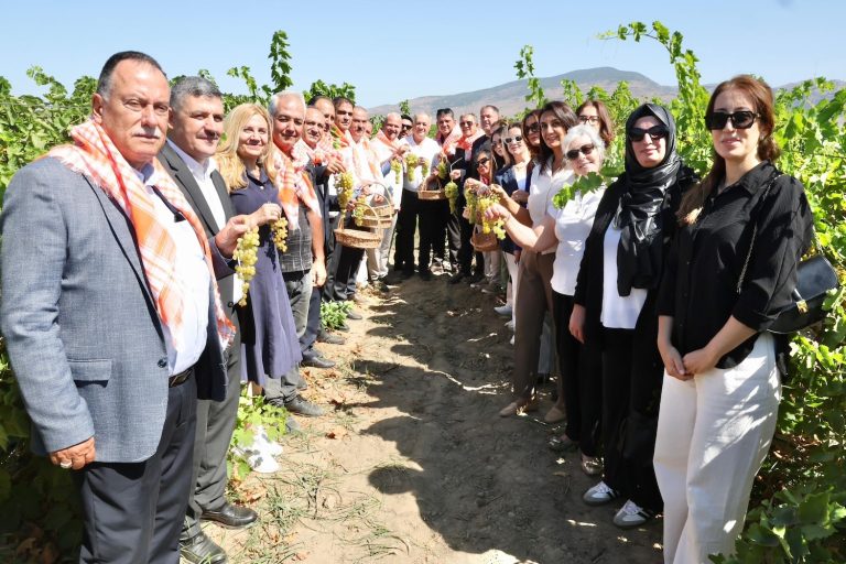 Menemen’de rekolte beklentisi 18 bin ton üzüm