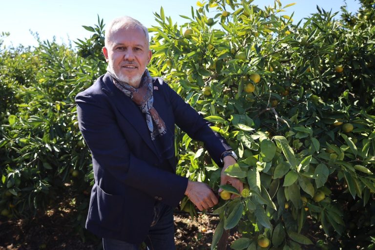 Mandalina ihracatında kritik eşik: 10 bin belge 20 günde bitecek